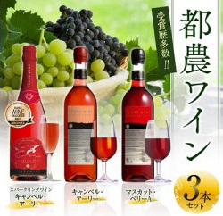 「宮崎県都農町」の「都農ワイン3本セット」