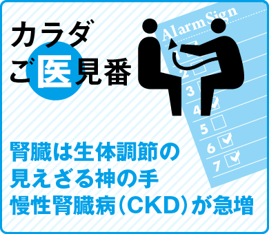 腎臓は生体調節の見えざる神の手慢性腎臓病（CKD）が急増