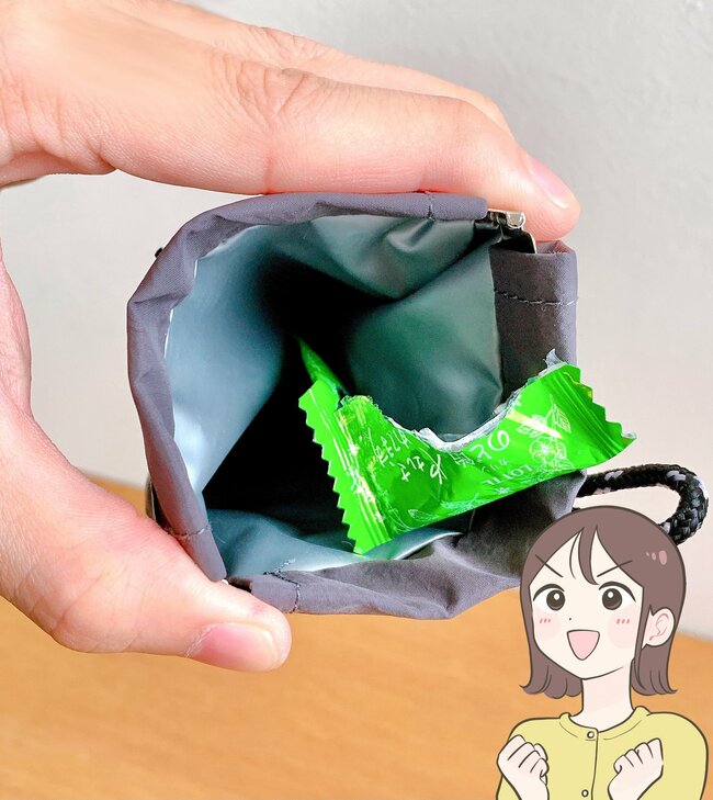 パカッと開いて使いやすい!ダイソーの“ミニ財布がわりになるポーチ”お薬の持ち歩きにも便利!《購入レビュー》