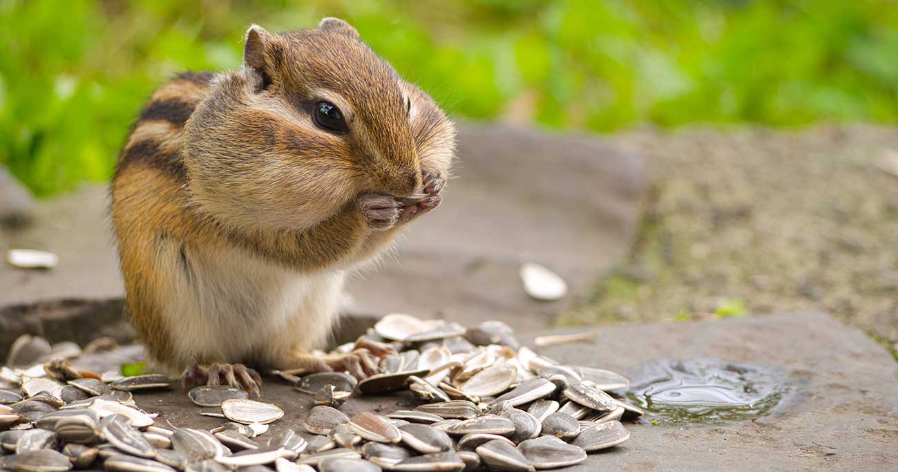 「それ、やってるかも…」実は疲れてる時に、やってはいけない「ある食べ方」とは？