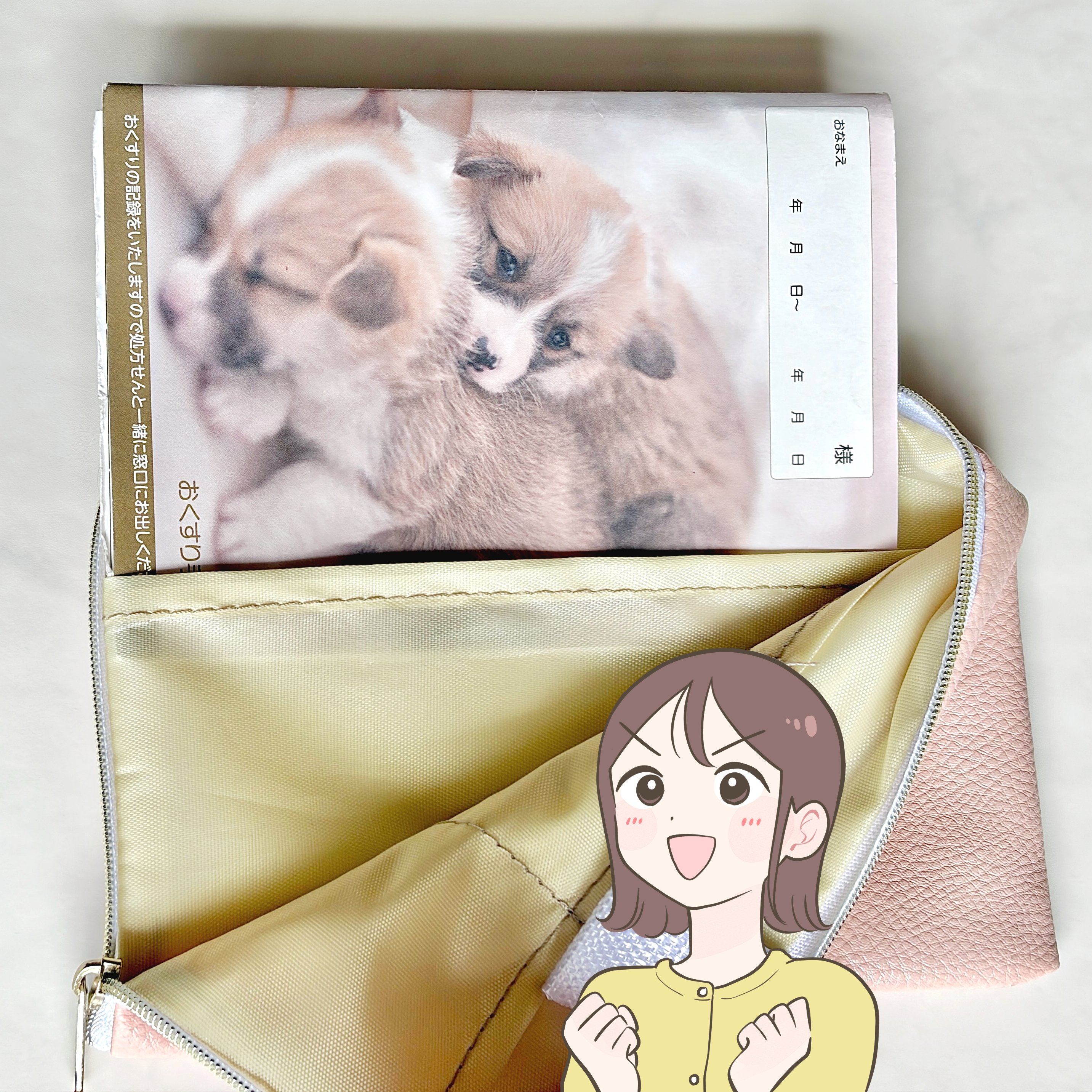 お薬手帳や診察券30枚がまるっと入る！セリアで見つけた「ポケットたくさんケース」が通院グッズ入れにぴったり！【購入レビュー】