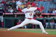 大谷翔平は唯一無二、ベーブ・ルースしのぐ