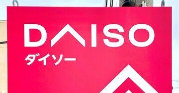 処方薬や郵便封筒がスッキリ…!ダイソーの“ソファに足せるポケット”年金や健康診断のお知らせをポイポイしまえるの!《購入レビュー》