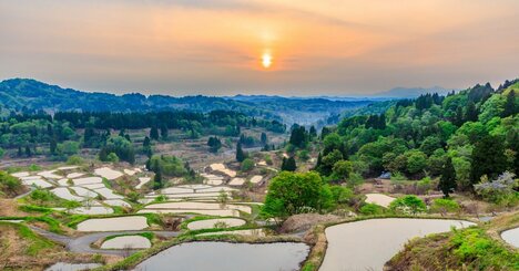 地元からの猛反発も…。なぜ新潟が「世界の食通が注目する美食先進県」になれたのか？