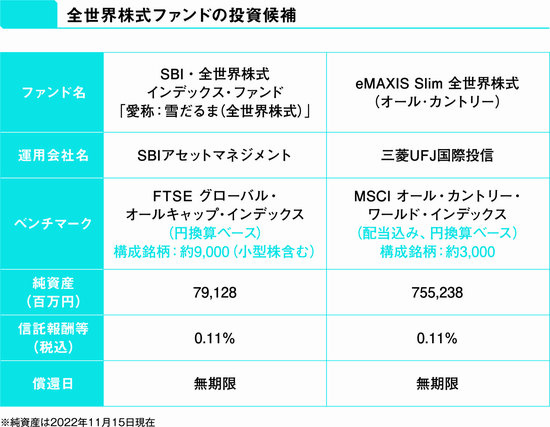 【投資のプロが教える】世界の株式に投資するインデックスファンドで、お勧めのもう1本とは？