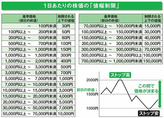 【就職せず株式投資で5億円】大損しないための適度な分散投資とは？