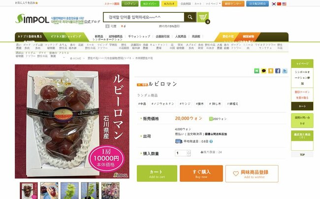 ECサイトで販売されていたルビーロマンの苗