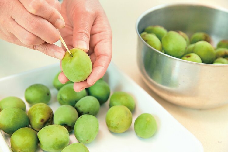 【昔の知恵ってすごい!】日々の不調を回復へと導く、梅を使った“自然のくすり”
