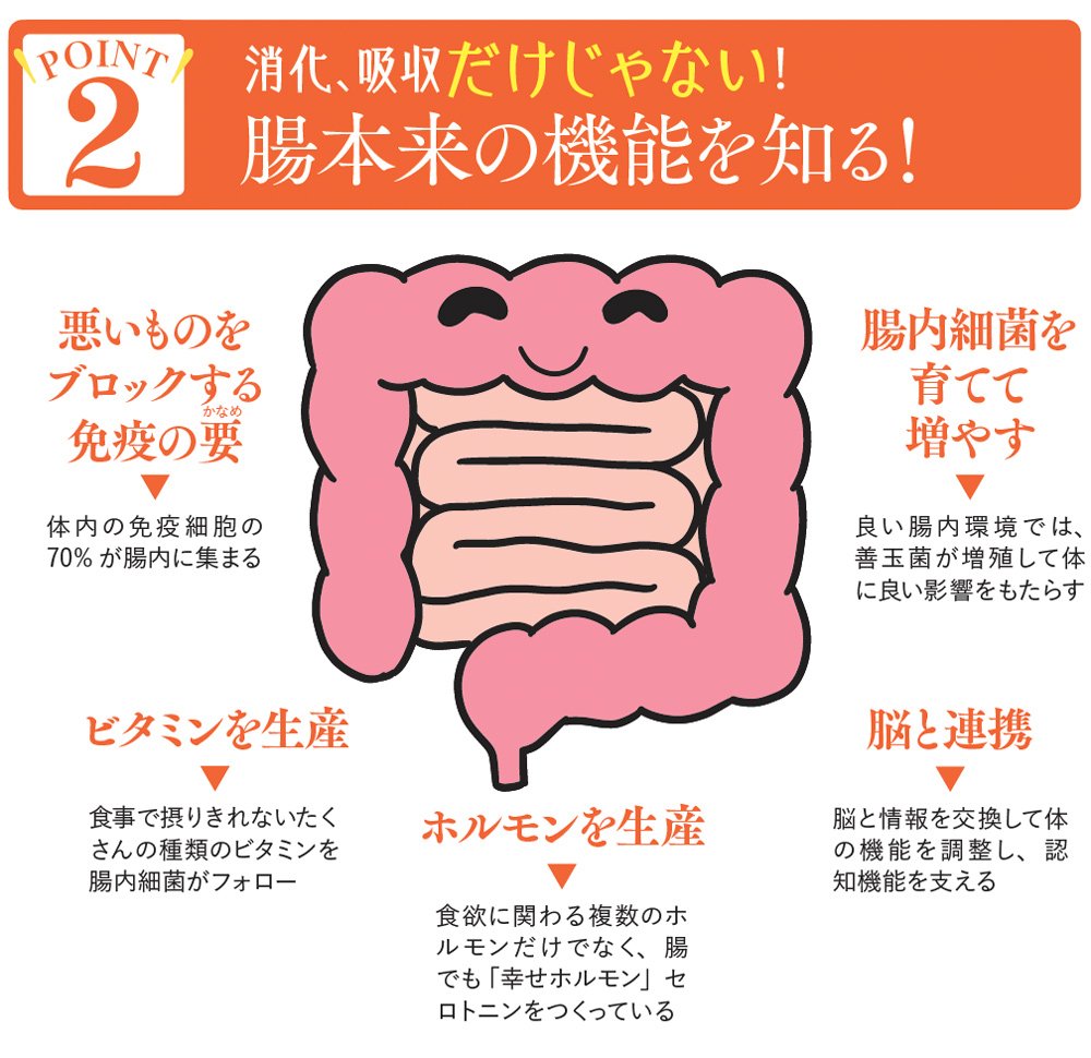 図表:腸本来の機能を知る