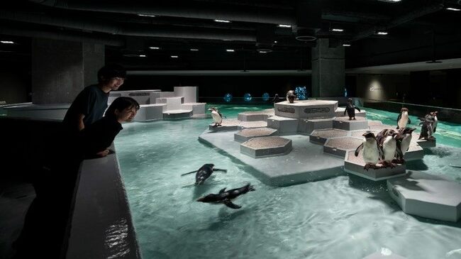 【札幌】街の中心部に飲食OKの水族館も！全天候型人気スポットで新しい冬の風情を発見