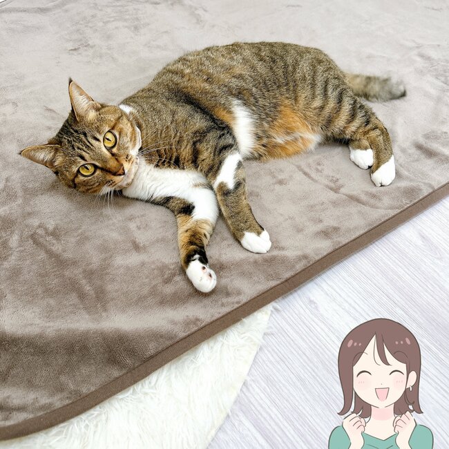 こたつ、いらないじゃん…!無印良品の“ぽかぽかブランケット”サッと羽織るだけで暖かい!「予想以上にあたたまります」「電気代の節約になりそう」