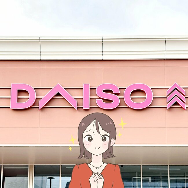 カードや診察券が40枚入った…！ダイソーの「ぺたんこ財布」現金やカードをコンパクトに持ち歩けて嬉しい！