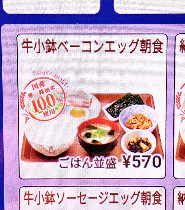 「コスパ最強ですよ」「やっぱりこれが一番好き」すき家の“570円モーニング”おかずたっぷりでボリューム満点!「こういうのでいいんですよ」