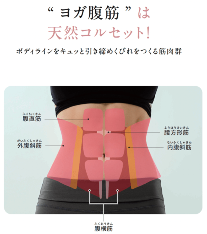 【くびれのプロが伝授】なぜ腹筋すると太く見える？ くびれを上手につくるコツ