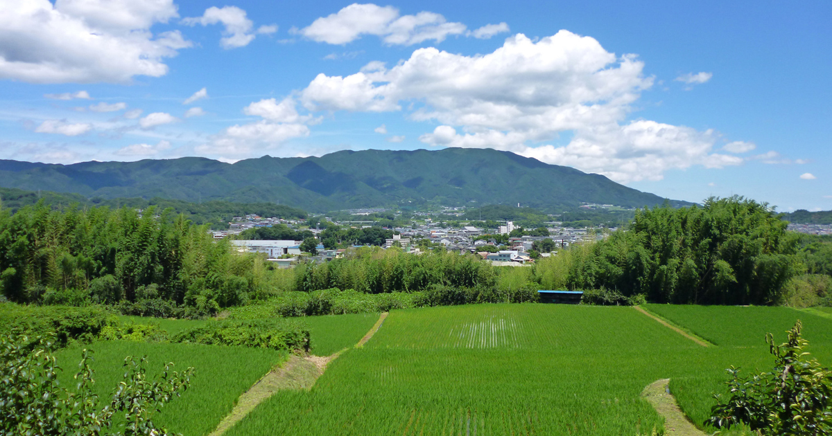 「幕末五条の三傑」は本当か？