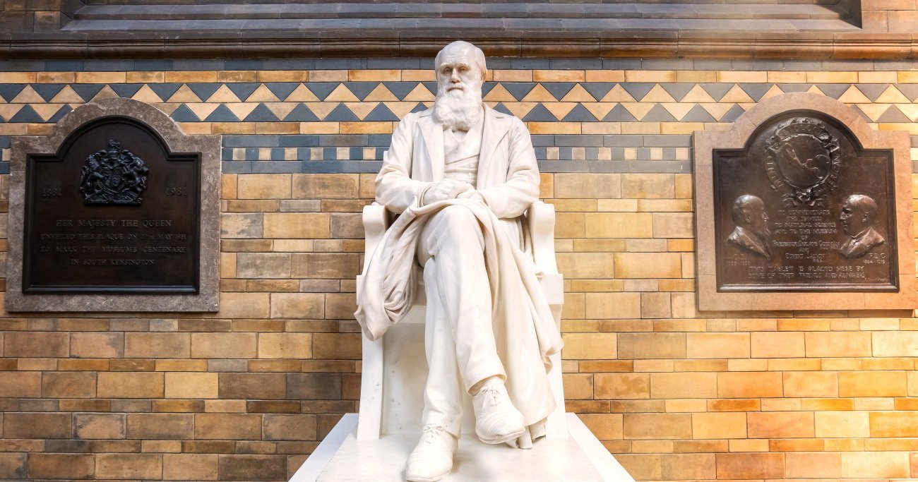 ダーウィンの 進化論 は誤解されている 若い読者に贈る美しい生物学講義 ダイヤモンド オンライン