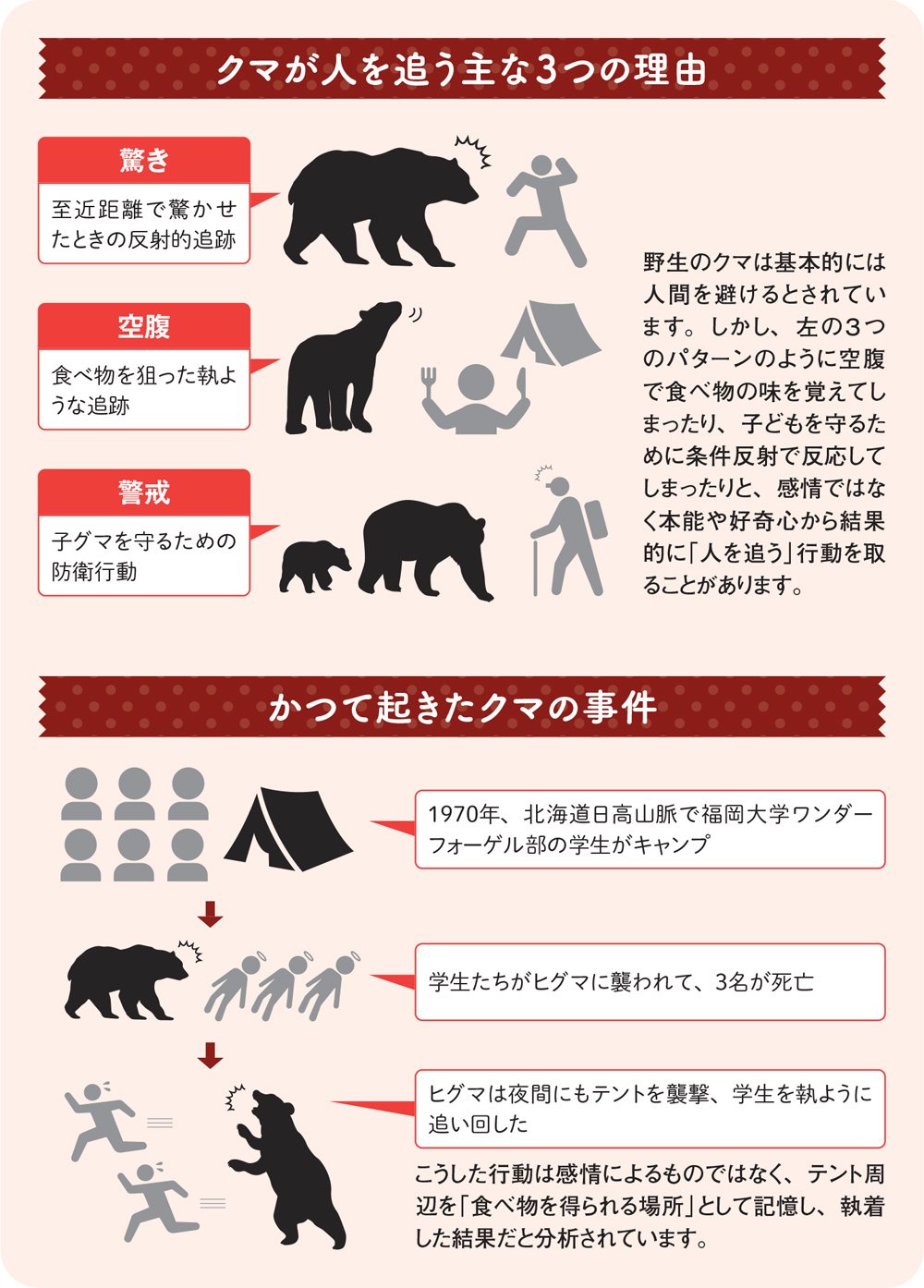 図:クマが人を追う主な3つの理由
