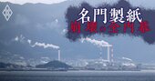 【独自】名門・丸住製紙の破綻前にコンサル大手が策定した再生計画を入手！内部資料が明かす業績悪化の「真因24項目」の全容