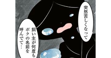 【マンガ】「飼い主はどこ？」ペットロスを“旅立った側”から描いたら…涙が止まらない「さよならの先」の物語