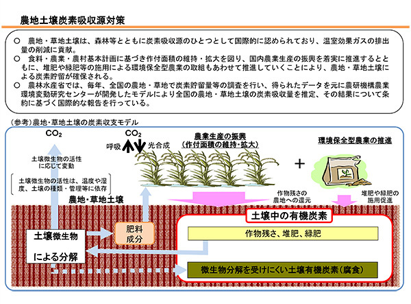 農林水産業イノベーション 第2回地球温暖化に対応する、果樹の新品種を開発