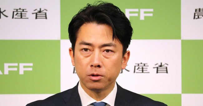 小泉農水相の備蓄米放出で「米価暴落」と「農業法人倒産」リスク増大！食料安全保障を脅かしかねない事態に