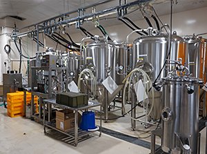 “八戸テロワール”にこだわったクラフトビールで地域おこしを推進