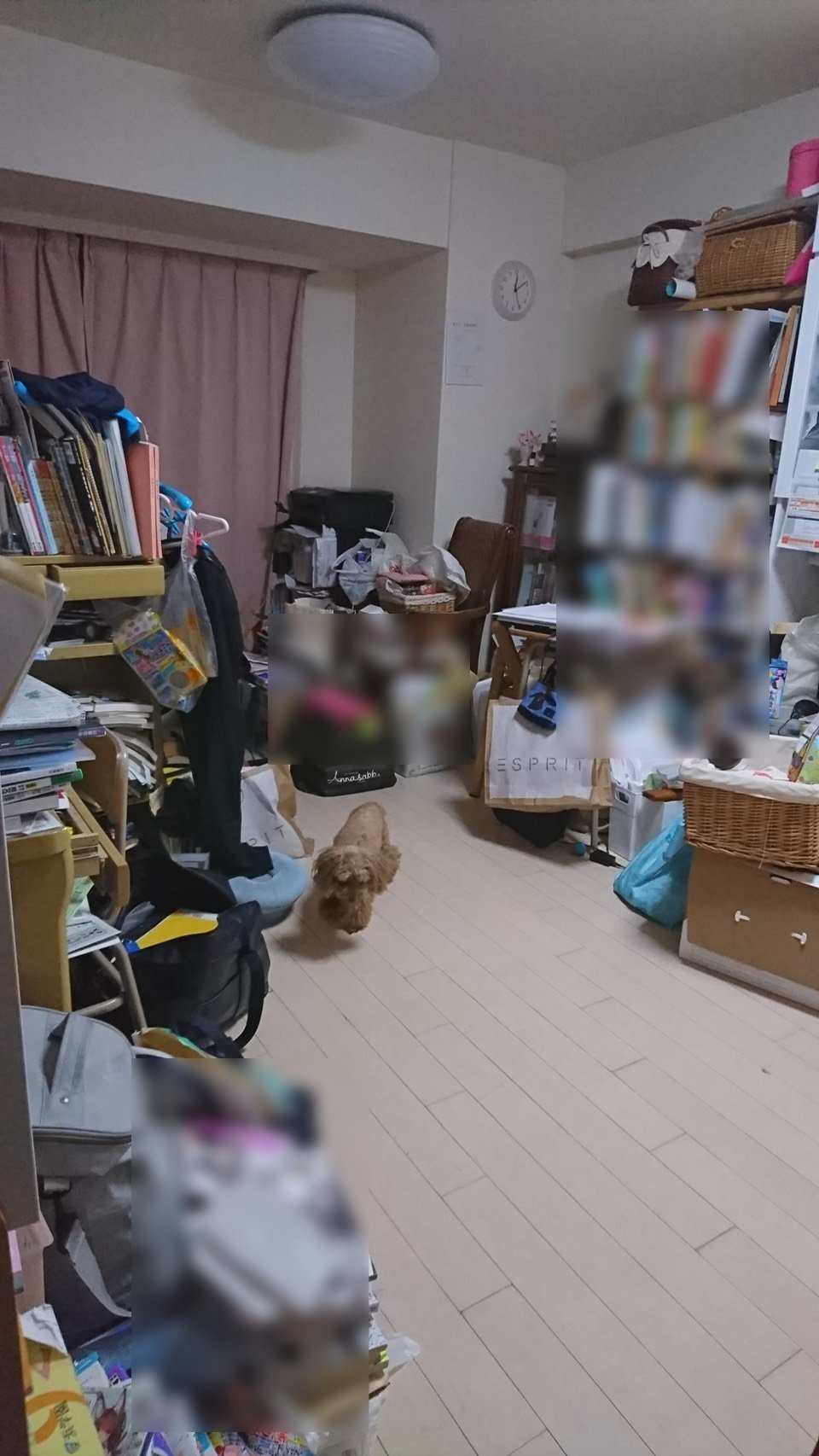 家を片づけるとお金が貯まるのは「気のせい」ではなく「事実」