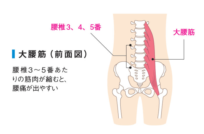 「座りっぱなしの人」の人は要注意！「体のゆがみ」を発見する、整体プロのセルフ診断法