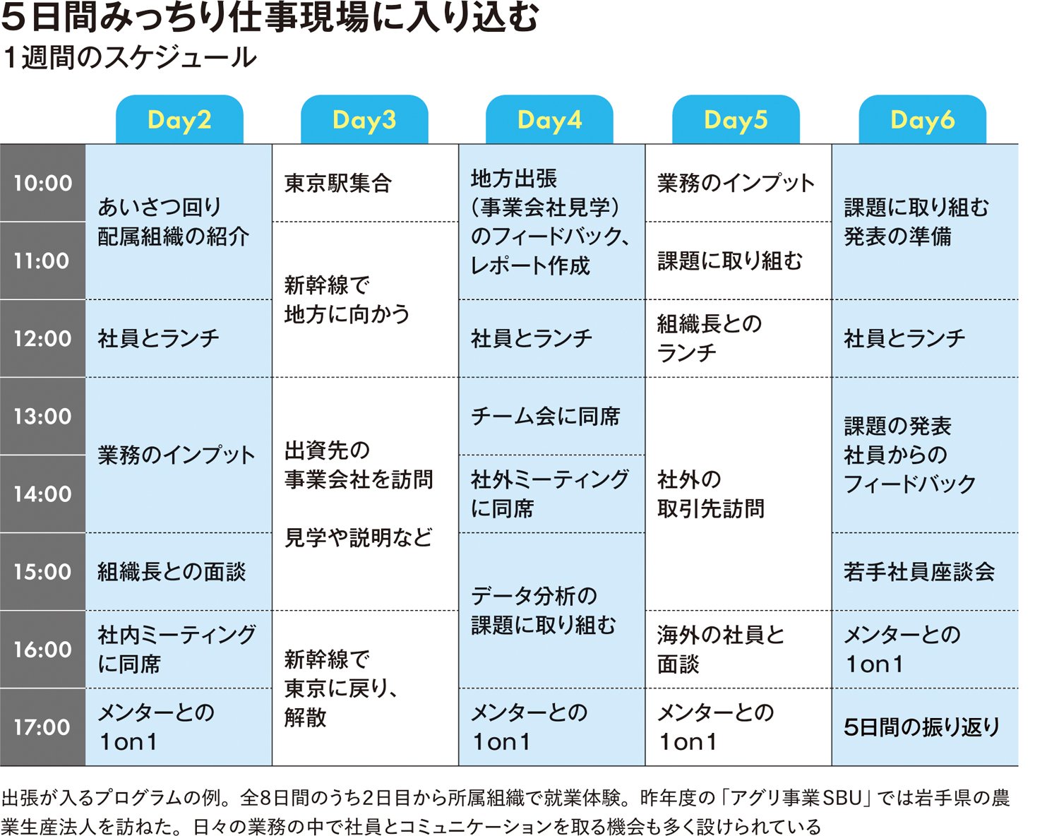 8日間で「商社の仕事」を実体験！住友商事のインターンシップは学生たちの“顔つき”をどう変える？