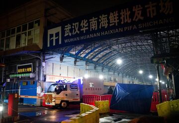 コロナ起源WHO調査、中国の動物2種に照準