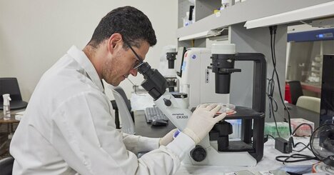 製薬大手、中国に求める「新薬の手掛かり」