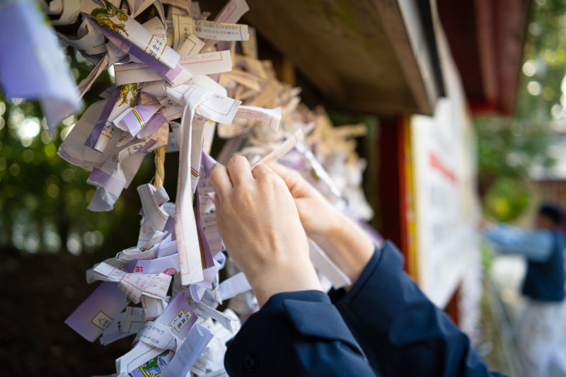 【神様】は見ている。おみくじを枝に結ばないほうがいいたった1つの理由