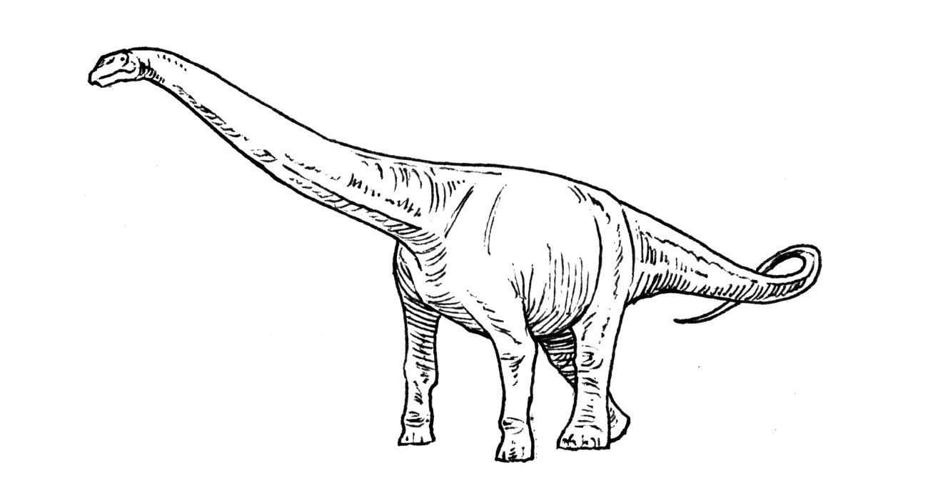 The largest land animal in history'' ``Argentinosaurus'' was able to  maintain a weight of 70 tons | - Archyde
