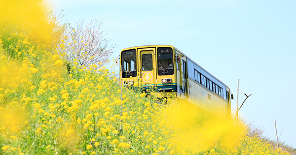 廃線寸前のローカル線「いすみ鉄道」に、乗客を増やすには？