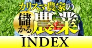 カリスマ農家が「儲かる農業」の極意を明かす！成長と高収益の秘密を徹底解説【動画】