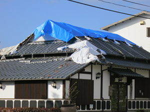 熊本地震で為替、株価、消費増税の行方は？