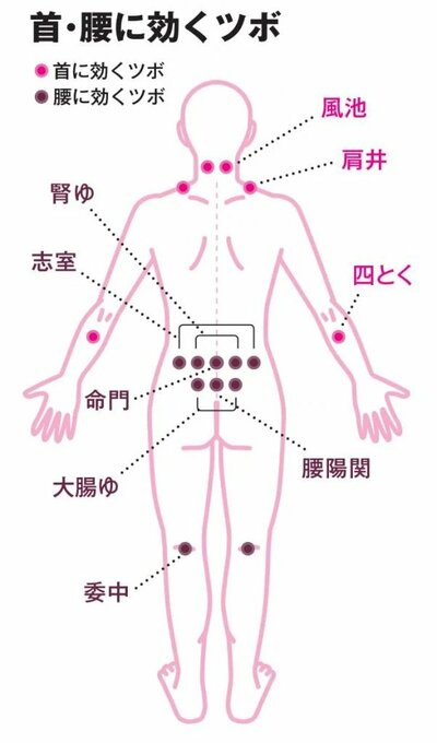 首・腰に効くツボ