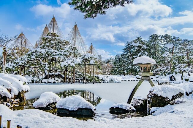 【冬の日本庭園】訪日外国人ガイドの目線から再発見する名庭園風景の眺め方と感じ方