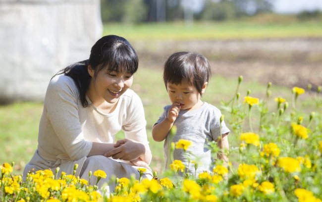 住民による都道府県魅力度ランキング2022【初公開】【完全版】
