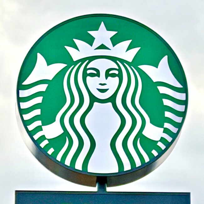 カードや診察券が30枚入った！スターバックスの「お財布がわりになるポーチ」毎日持ち歩きたい可愛さ！《購入レビュー》