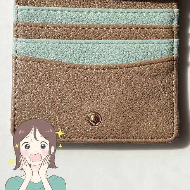 「小さい財布を探してました」「購入して正解」3COINSの“コンパクトな財布”小さめバッグにも入って優秀!「カードもお札も小銭も全て入ります」
