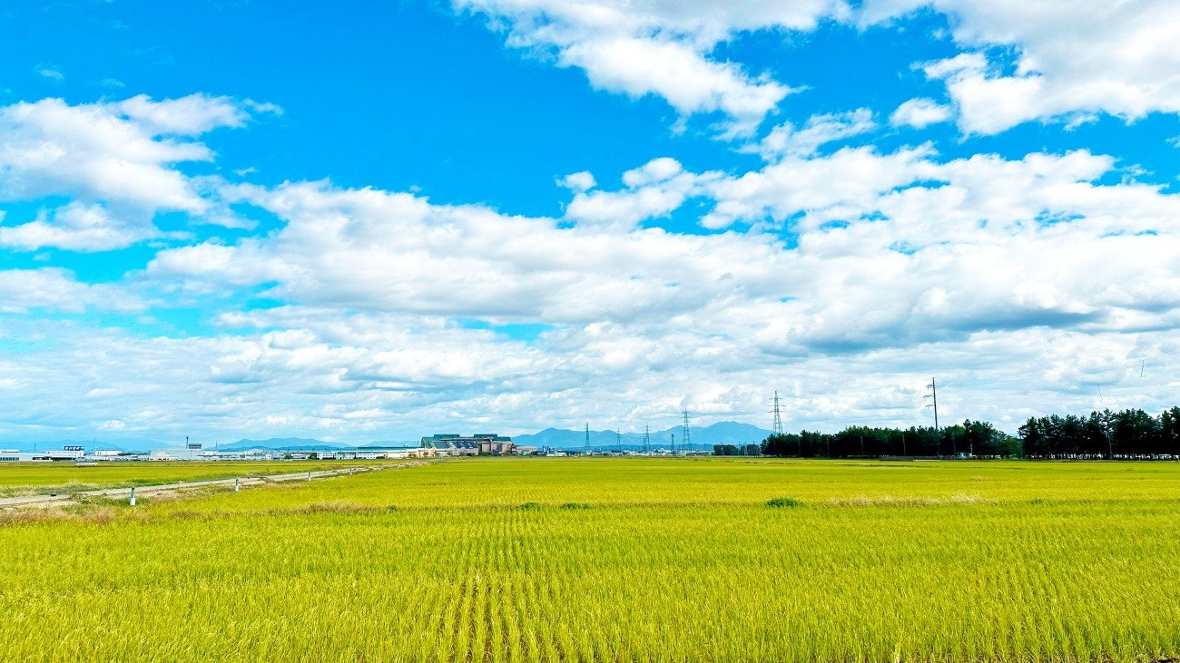 全8皿すべて「米」!? 新潟の田んぼのど真ん中に国際級フレンチがある理由