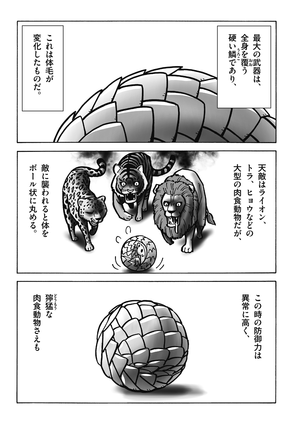 巣の入口には、頭がい骨を砕かれた敵の死体…ウォンバットのヒップアタックが強すぎる！