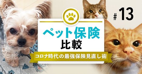 ペット保険「主要5商品」を徹底比較！費用補償の割合や保険料の相場は？