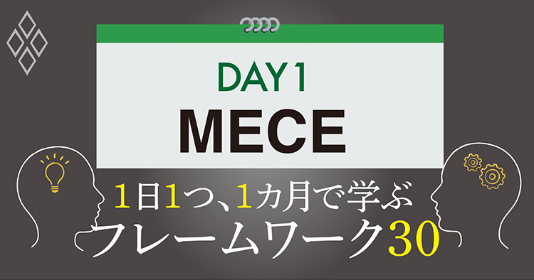 DAY1 MECE