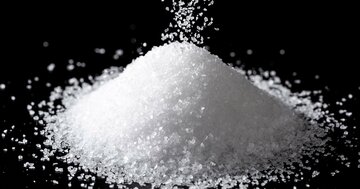 なぜインド国民は“たかが塩”で熱狂したのか? あなたの日常にも眠る社会を変える「武器」とは