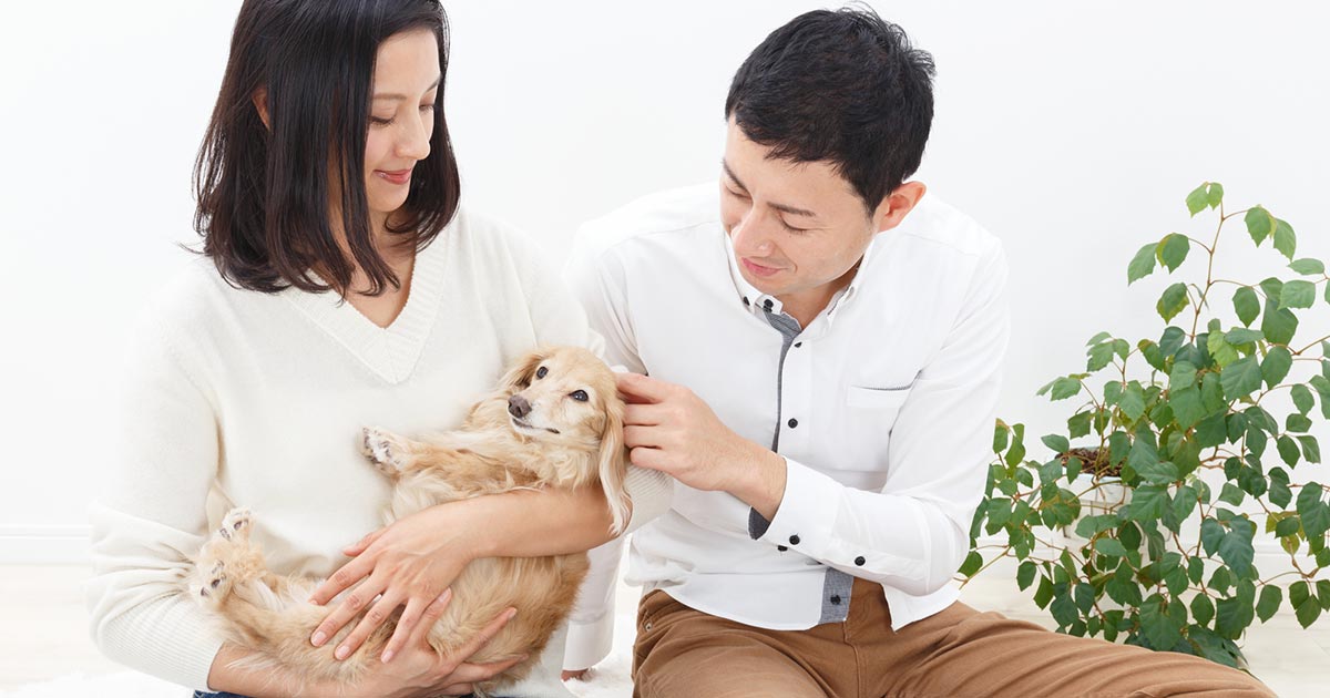 愛犬を「人質」に離婚応じぬ妻、夫婦の確執に巻き込まれるペットの悲哀（下）