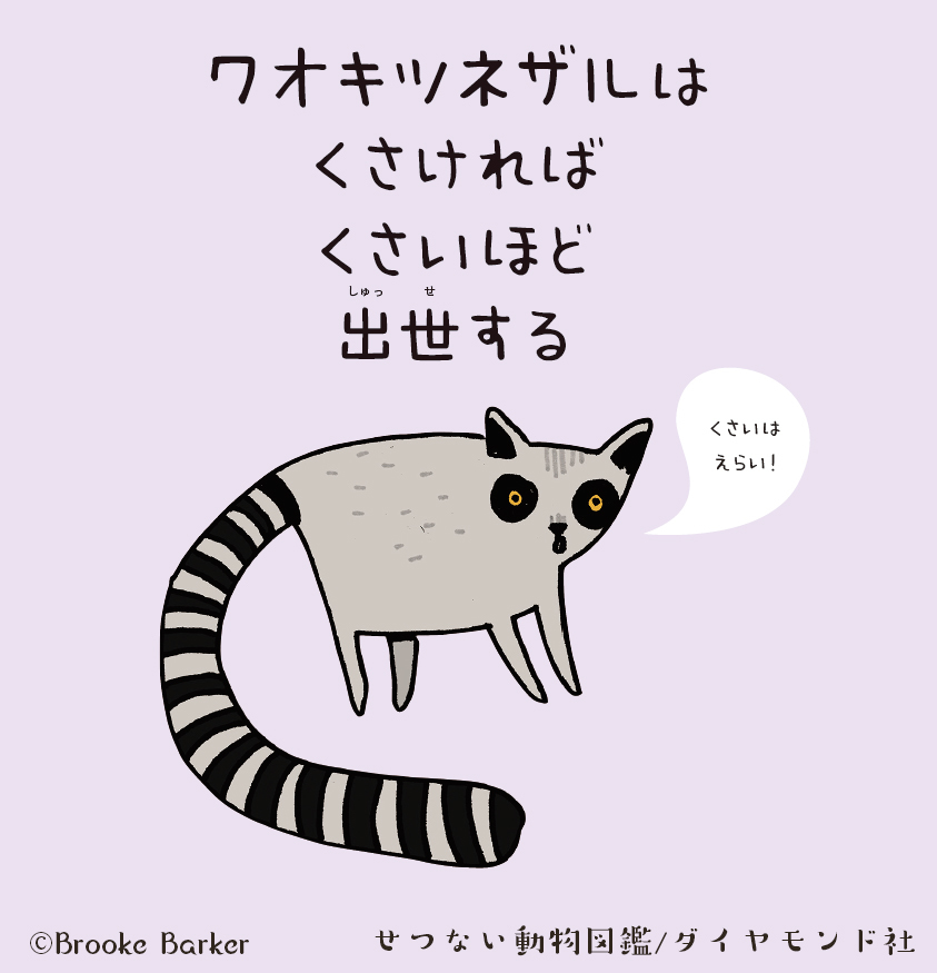 ワオキツネザルは なほど出世する せつない動物図鑑 ダイヤモンド オンライン