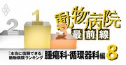 「本当に信頼できる」動物病院ランキング【腫瘍科・循環器科】犬の心臓病“ゴッドハンド”が横浜に！