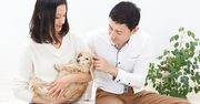 愛犬を「人質」に離婚応じぬ妻、夫婦の確執に巻き込まれるペットの悲哀（上）